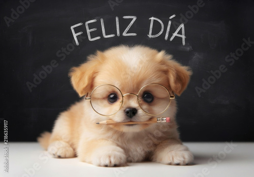 Cachorro tierno con anteojos y lapiz en la boca con mensaje Feliz Día en pizarrón para el Día del Maestro