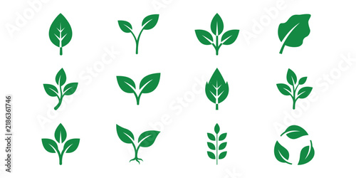 Green leaf icons set vector illustration, isolated plant foliage symbols for eco design