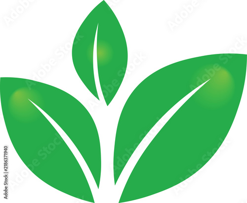 Green leaf sprout vector icon with growing plant seedling symbol for eco nature and organic logo EPS