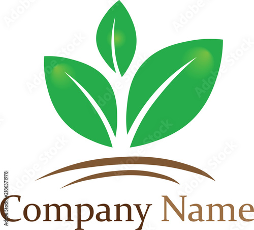Green leaf sprout plant vector logo template for eco farming agriculture and organic company branding EPS