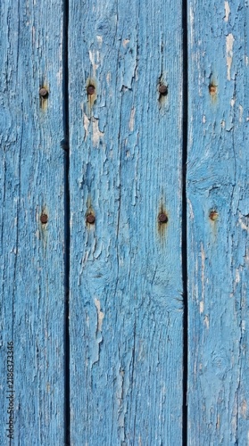 Distressed blue wooden planks background with peeling paint texture and vintage rusty nail heads