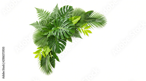 Tropical palm leaves corner composition with monstera and green ferns isolated on white background