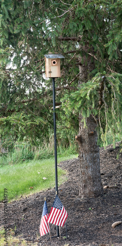 Small Bird House on Pole in Pine Tree