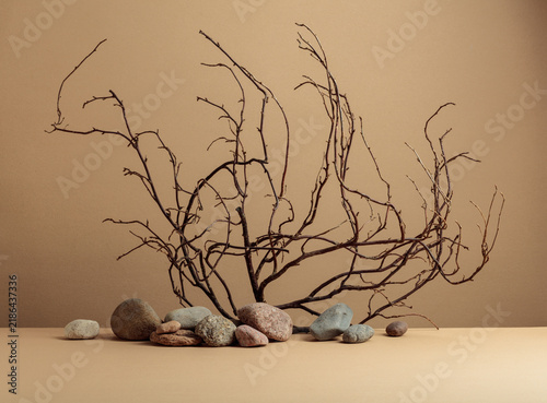 Foto An intricately entwined branches and smooth stones against a beige background