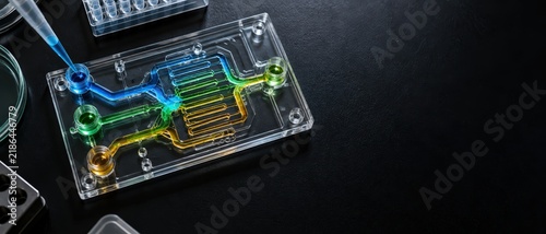 Microfluidic Lab on Chip Device with Colorful Liquid Channels on Dark Background