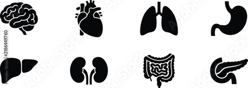 Foto Set of black silhouette icons representing various human internal body organs