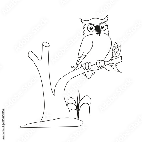 Illustration of an owl perched on a branch