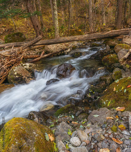 Quadro su tela Smolny Creek flowing between large rocks and fallen trees in an autumn forest in Primorsky Krai, Russian Far East