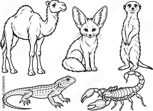 Desert animals illustration featuring a camel dromedary