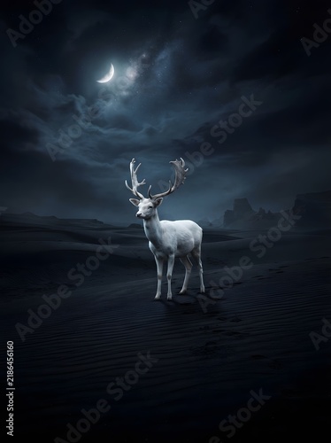 Obraz na płótnie Surreal fine art