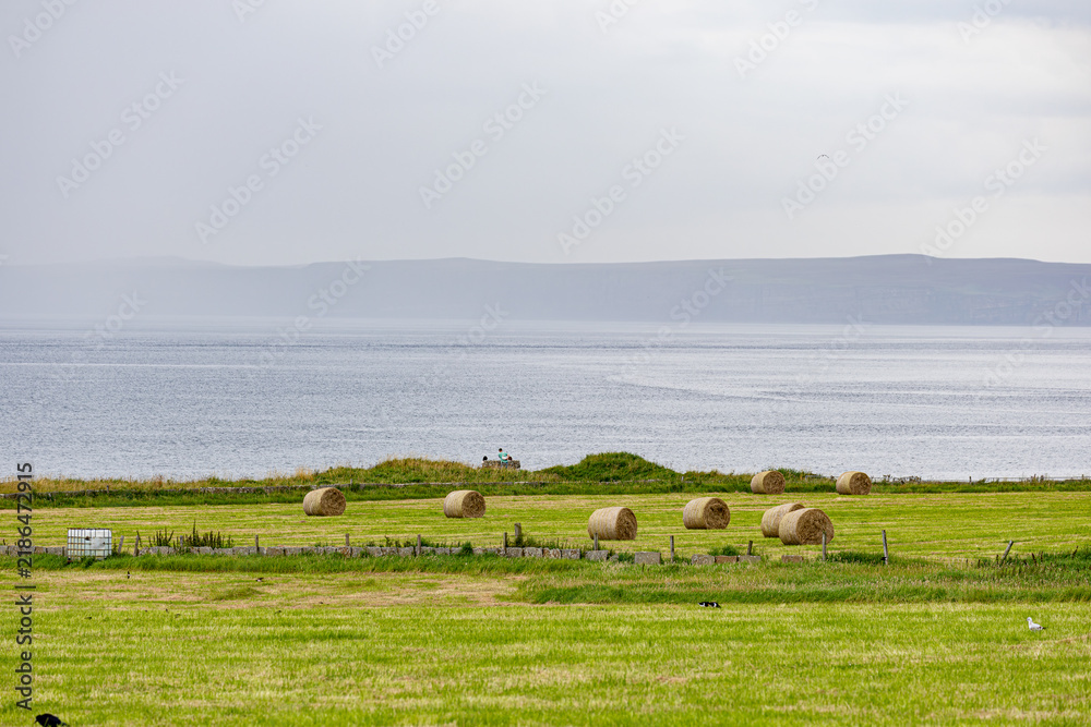 Fototapeta premium Coastal Hayfield with Ocean View in Thurso, Scotland, UK.