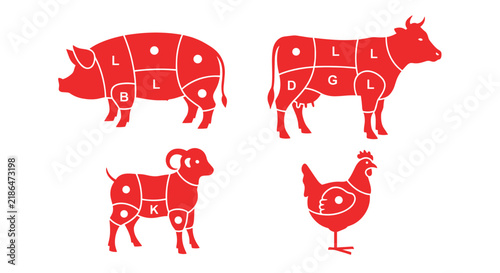 Butcher diagram silhouettes of cow, pig, sheep, and chicken with meat cut marks, vector illustration in red.
