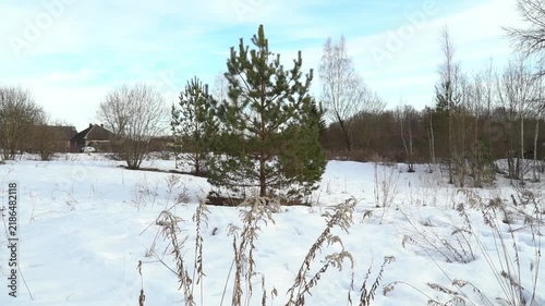 The camera shows a snow-covered area with a single tree standing out in the foreground. In the background, there are several distant buildings. The light is soft and serene, typical of a winter aftern