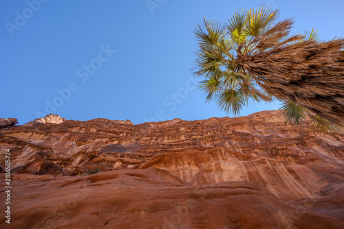 Konstfotografi Arid Desert Valley with Rocky Mountain Peaks and Cliffs