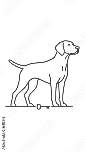 Minimalist line art of a hunting dog standing over a key, vector illustration icon.