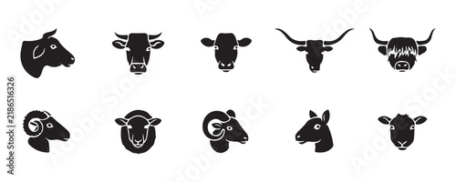 Farm animal heads including cows sheep and goats on transparent background vector art.