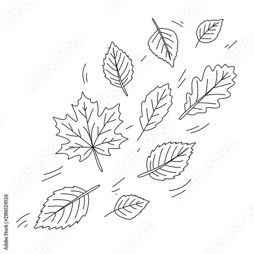 Falling autumn leaves line art illustration
