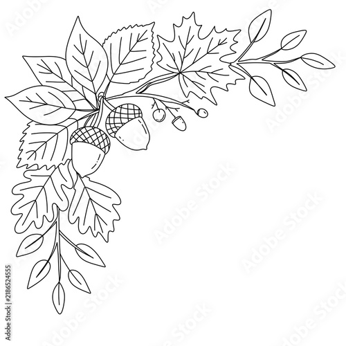 Autumn leaves and acorns corner border line art illustration