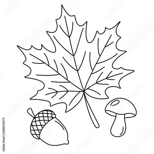 Autumn maple leaf with mushroom and acorn line art illustration