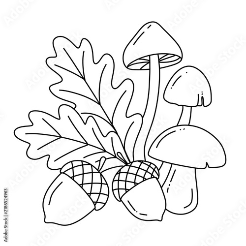 Autumn maple leaf with mushroom and acorn line art illustration