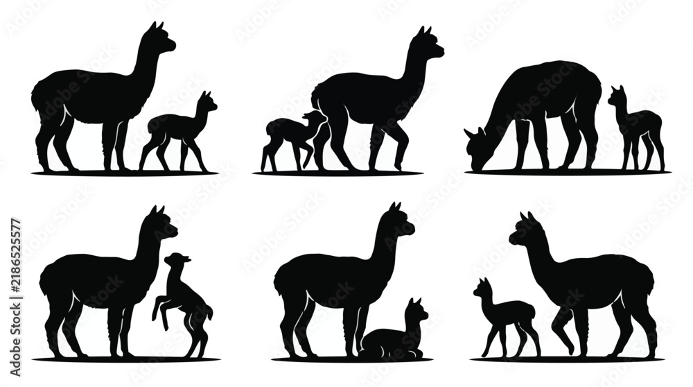 Fototapeta premium Alpaca Mother and Cria Baby Silhouette Vector Set Isolated on White Background