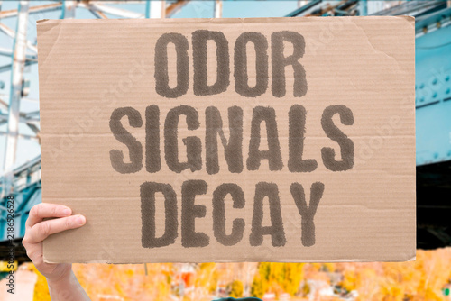 Canvas Print "Odor signals decay" Ammonia and putrefaction stench announce biological and chemical deterioration