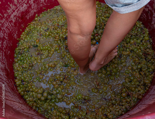 Photography Woman with blue nail polish steps barefoot into red vat for grape crushing durin