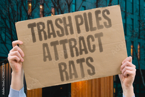 Foto "Trash piles attract rats" Neglected refuse creates pest infestations