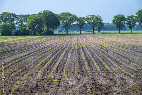 Fields around the Zwillbrocker Venn Nature Reserve in Germany