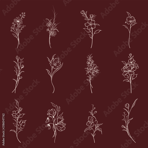 Elegant Floral Wildflower Sketches for Logo, Wedding Invitation, and Packaging Design