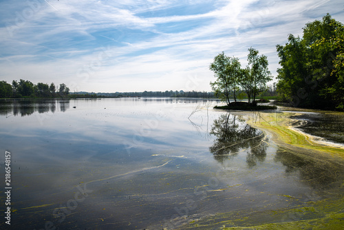 Zwillbrocker Venn Nature Reserve in Germany