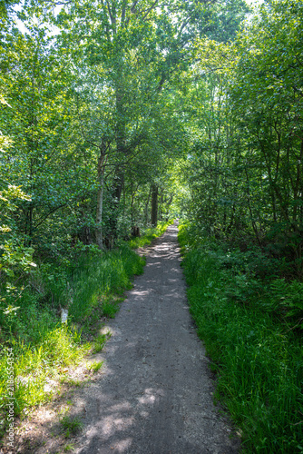 Hiking at the Zwillbrocker Venn Nature Reserve in Germany