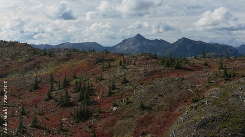 Aerial Panorama of British Columbia's Rugged Mountain Landscape Displaying Stunning Autumn Colors