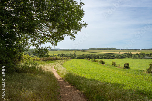 country road in the countryside