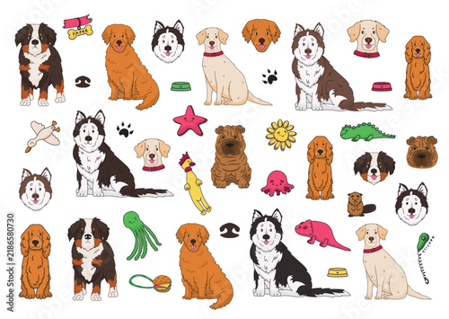 17-dogs-000
