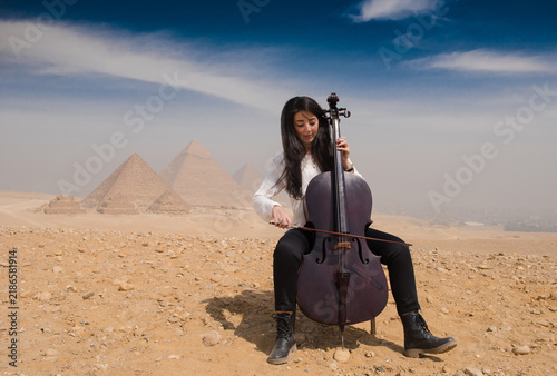 Bild auf Leinwand Focused young woman cellist actively bowing a cello while seated on the sandy Gi