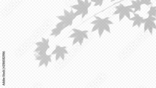 Easy to edit layered vector shadow. Maple leaves on transparent checkerboard. Adjust tonal layer opacity to control shadow intensity and perceived softness.