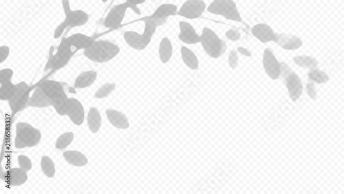 Easy to edit layered vector shadow. Leafy branches on transparent grid. Adjust tonal layer opacity to control shadow intensity and perceived softness.