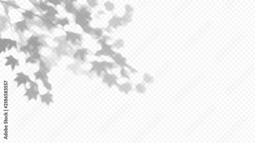 Obraz premium Easy to edit layered vector shadow. Maple tree leaves over a checkerboard background. Adjust tonal layer opacity to control shadow intensity and perceived softness.