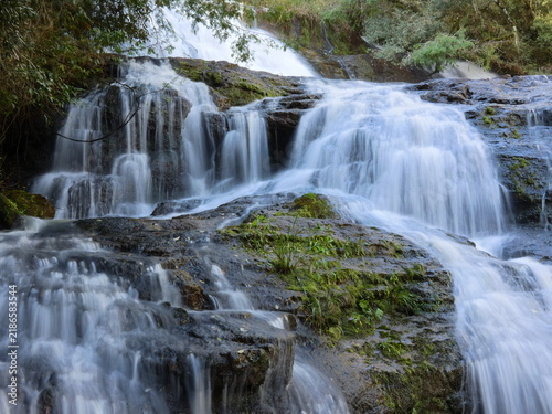 Freshwater Stream Tumbling Across Rocky Terrain Amid Tropical Forest