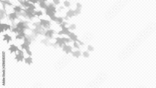Easy to edit layered vector shadow. Maple tree leaves over a checkerboard background. Adjust tonal layer opacity to control shadow intensity and perceived softness.