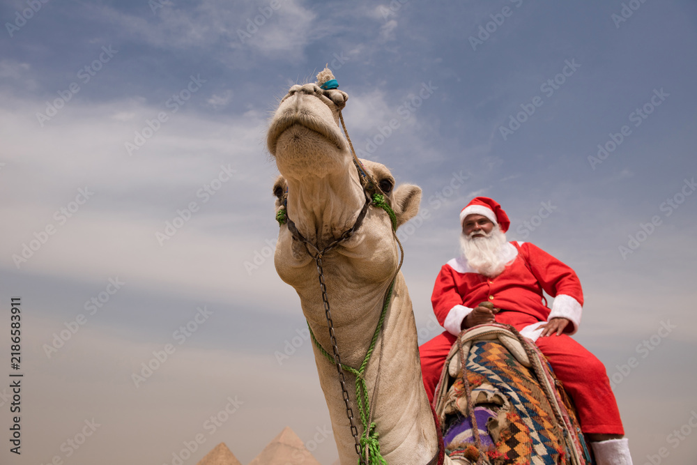 Naklejka premium Santa Claus in full red suit riding a traditionally saddled camel at the Giza plateau with pyramids visible below a pale overcast sky ideal for funny