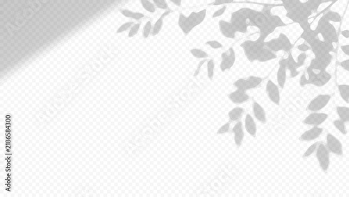 Easy to edit layered vector shadow. Tree leaves and branches on transparent checkerboard. Adjust tonal layer opacity to control shadow intensity and perceived softness.