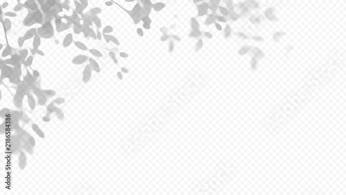 Easy to edit layered vector shadow. Tree branch leaves on a transparent checkerboard background. Adjust tonal layer opacity to control shadow intensity and perceived softness.