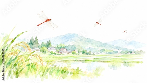 実りの秋を迎える日本の田園風景と赤とんぼが飛ぶ里山の水彩画