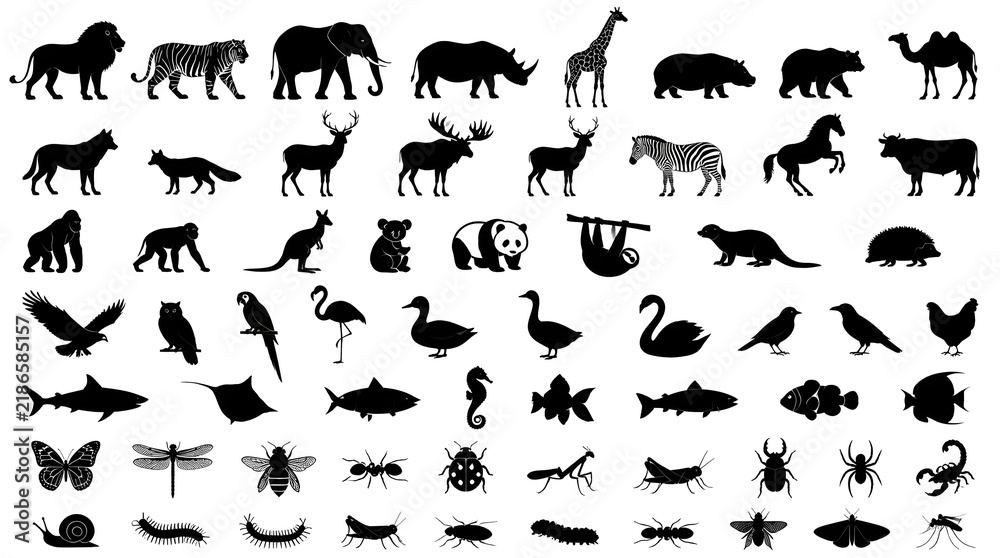 Obraz premium Collection of black animal silhouettes featuring diverse wildlife species on white