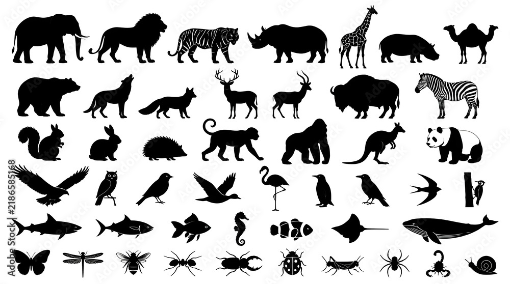 Obraz premium Collection of black animal silhouettes featuring diverse wildlife species on white