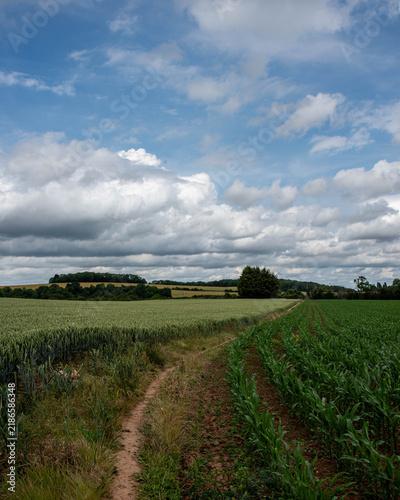 Rural landscape with a field and sky