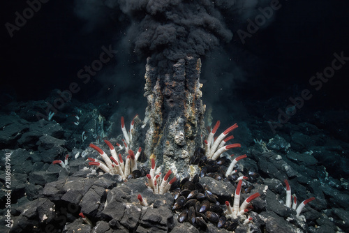 Cuadro en lienzo Deep Sea Hydrothermal Vent With Tube Worms On The Dark Ocean Floor