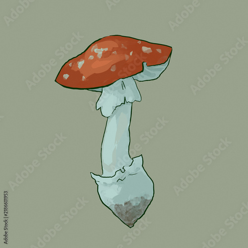 Hand painted fly agaric mushroom illustration